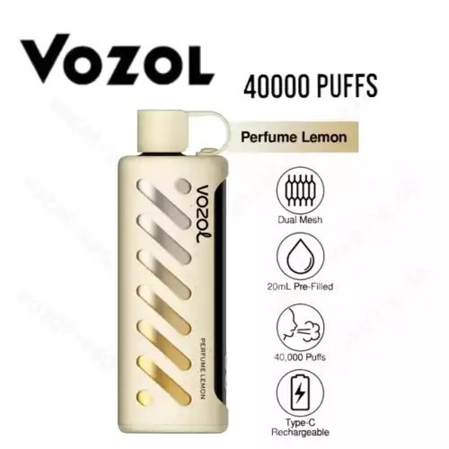 VOZOL Gear Shisha 40000 Züge Airflow-Kontrolle Einweg-Dampfer