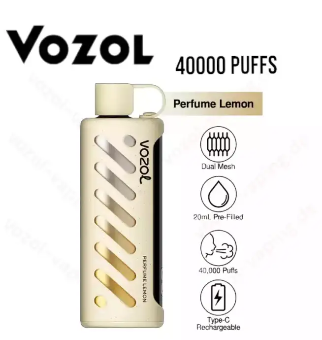 VOZOL Gear Shisha 40000 Züge Airflow-Kontrolle Einweg-Dampfer