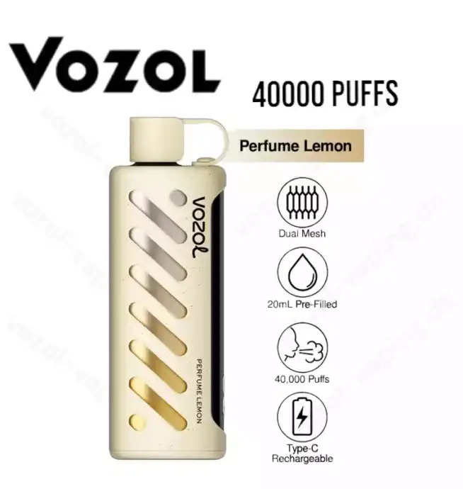 VOZOL Gear Shisha 40000 Züge Airflow-Kontrolle Einweg-Dampfer