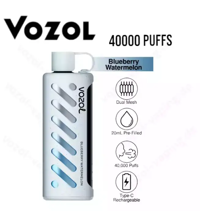 VOZOL Gear Shisha 40000 Züge Airflow-Kontrolle Einweg-Dampfer