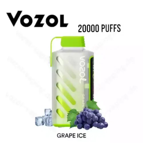 Vozol Gear Power 20000 Züge 20k – Blueberry Storm Aroma
