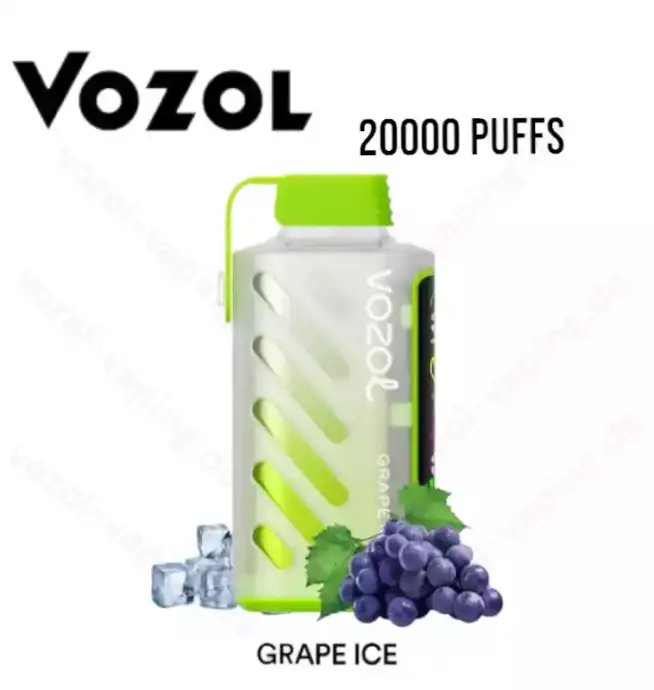 Vozol Gear Power 20000 Züge 20k – Blueberry Storm Aroma