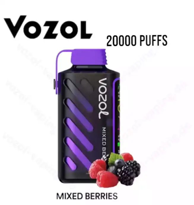 Vozol Gear Power 20000 Züge 20k – Mixed Berry Aroma