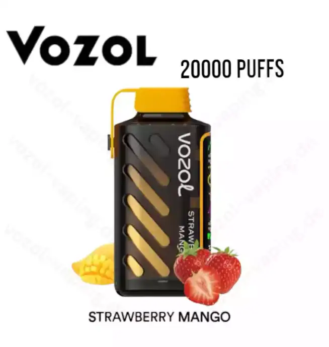 Vozol Gear Power 20000 Züge 20k – Strawberry Mango Aroma