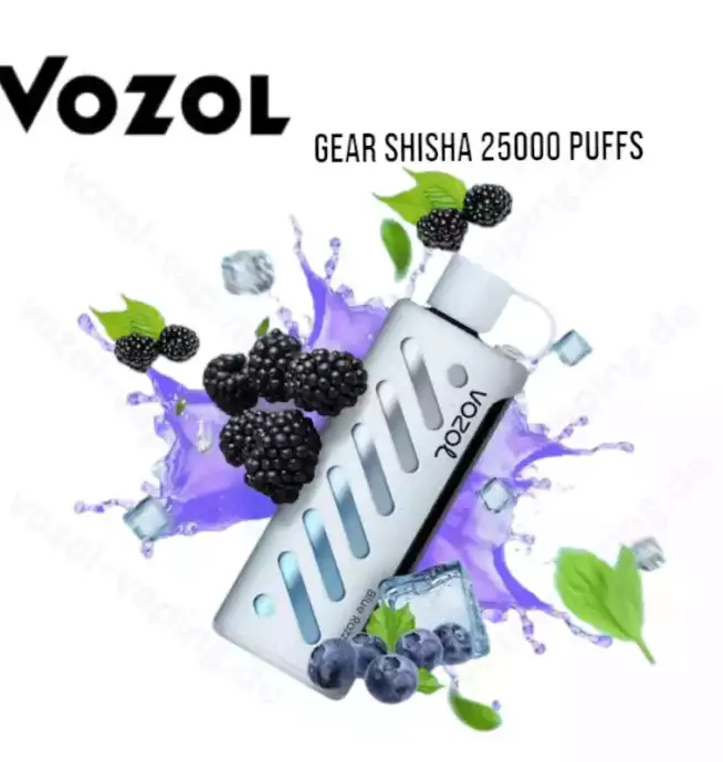 Vozol Gear Shisha 25000 Züge LED-Display Einweg-Dampfer
