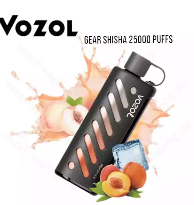 Vozol Gear Shisha 25000 Züge LED-Display Einweg-Dampfer