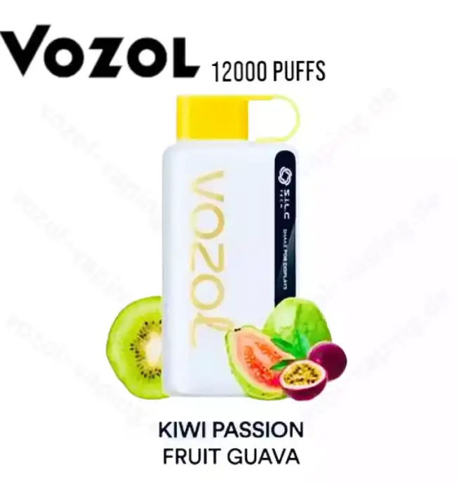 Vozol Star 12000 Züge Liquid Einweg-Dampfer