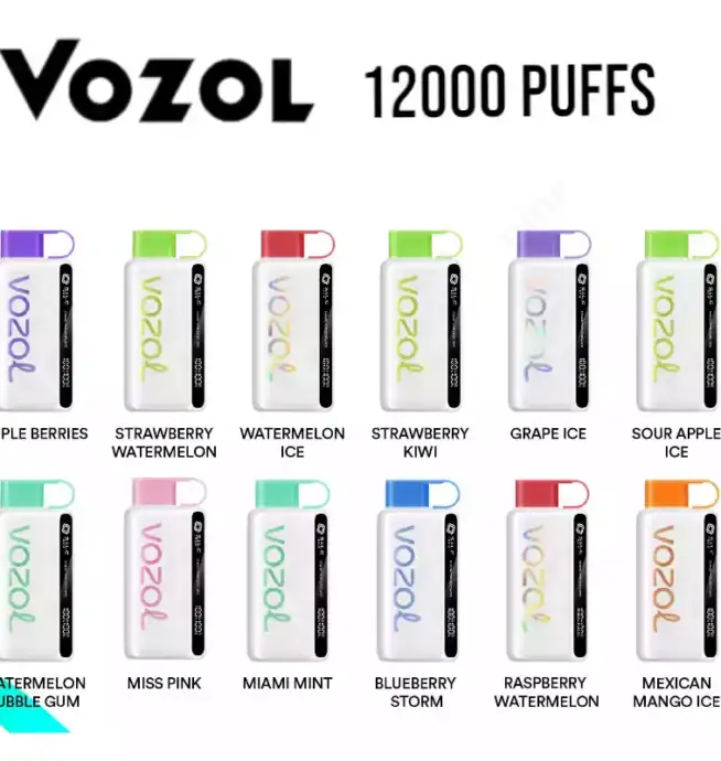 Vozol Star 12000 Züge Liquid Einweg-Dampfer