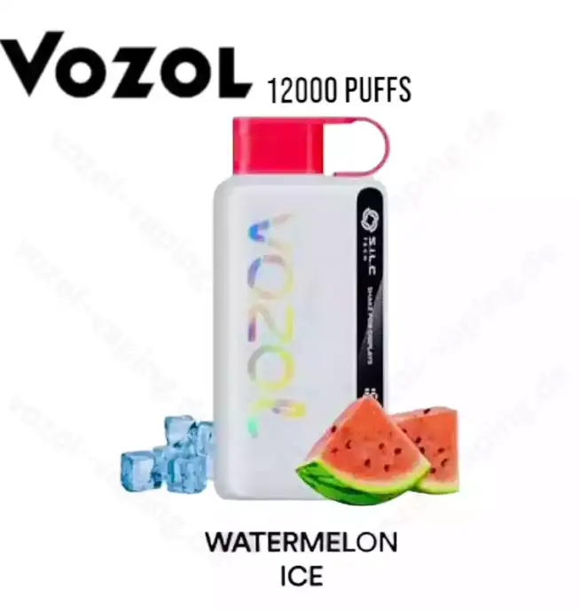 Vozol Star 12000 Züge Liquid Einweg-Dampfer