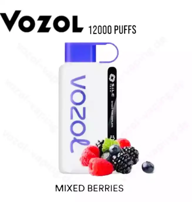 Vozol Star 12000 Züge Liquid Einweg-Dampfer