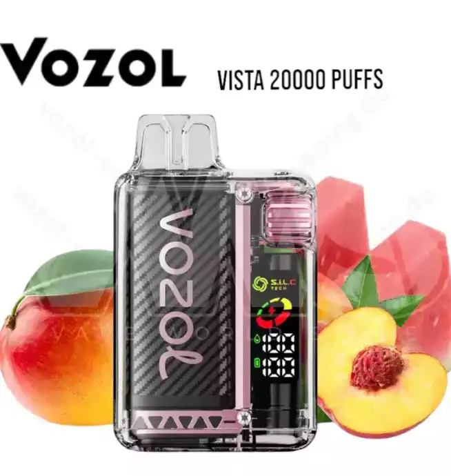 Vozol Vista 20000 Züge 20k Crystal Vape Einweg-Dampfer
