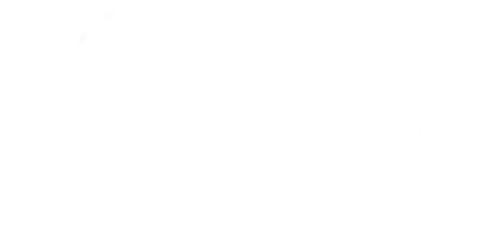 Vozol Vape