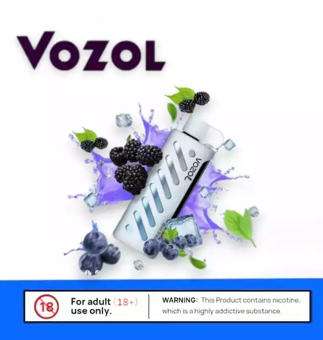 Vozol Gear Shisha 25K Einweg Pods Vape