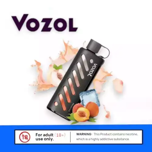 Vozol Gear Shisha 25K Einweg Pods Vape