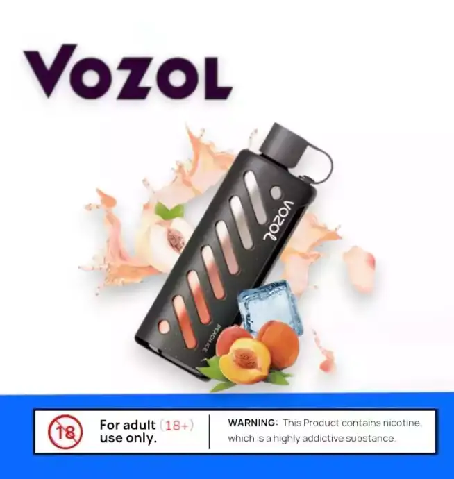 Vozol Gear Shisha 25K Einweg Pods Vape