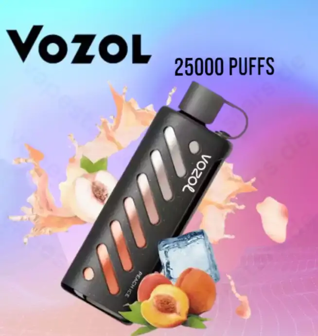 Vozol Gear Shisha 25K Einweg Pods Vape
