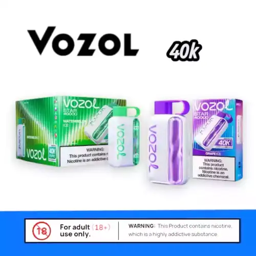 Vozol Star 40K Mesh Coil Vape